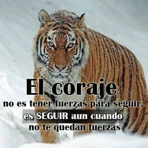 Meet your Posher, Gregorio